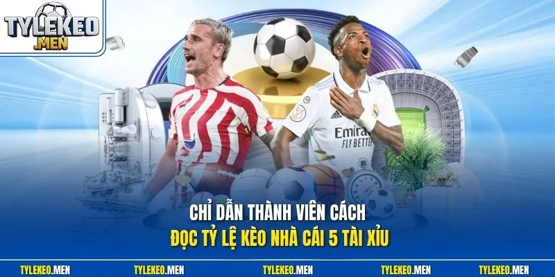 Chỉ dẫn thành viên cách đọc tỷ lệ kèo nhà cái 5 Tài Xỉu